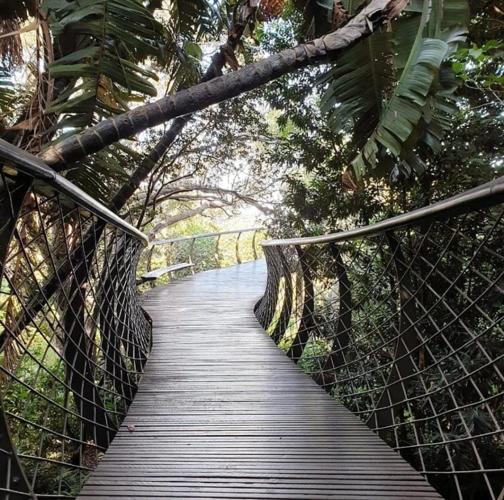 kirstenbosch botanical gardens