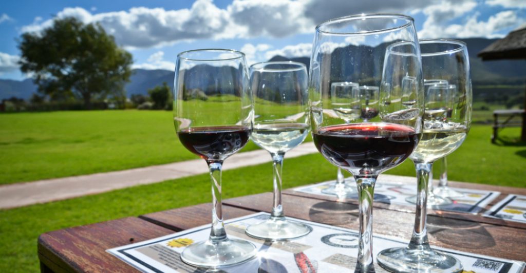 constantia wine tour