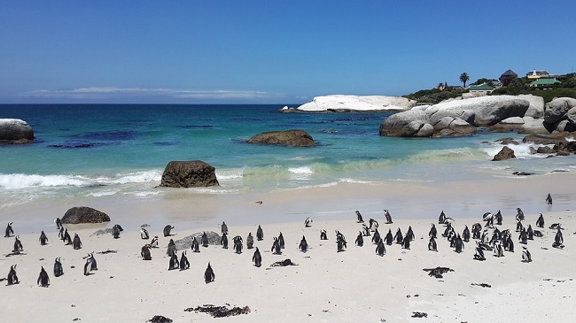 Top-10-Reasons-to-Visit-Cape-Town-Beaches