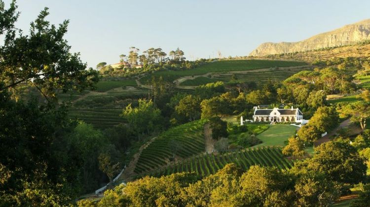 THE ICONIC SWEET WINES OF CONSTANTIA