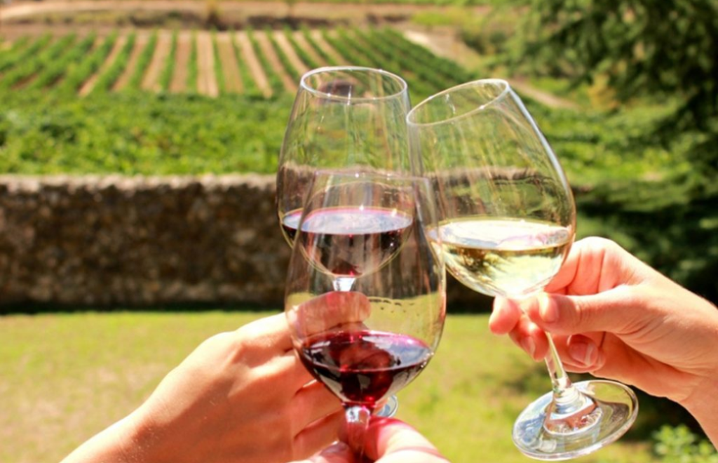 Stellenbosch Half Day Wine Tour