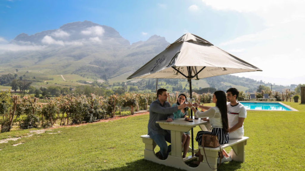 Stellenbosch, Franschhoek and Paarl: Full Day Wine Tour