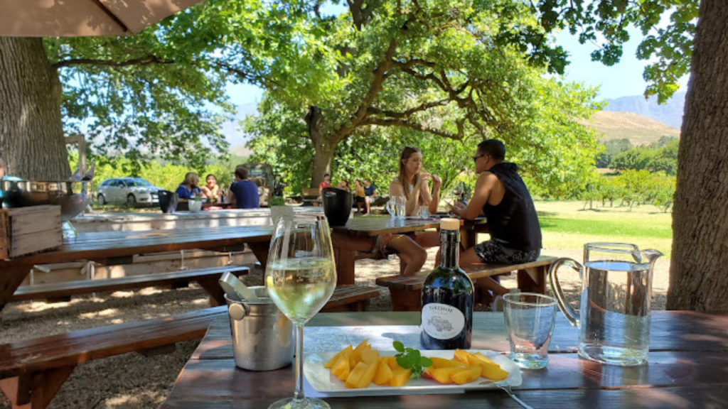 Stellenbosch, Franschhoek and Paarl: Full Day Wine Tour