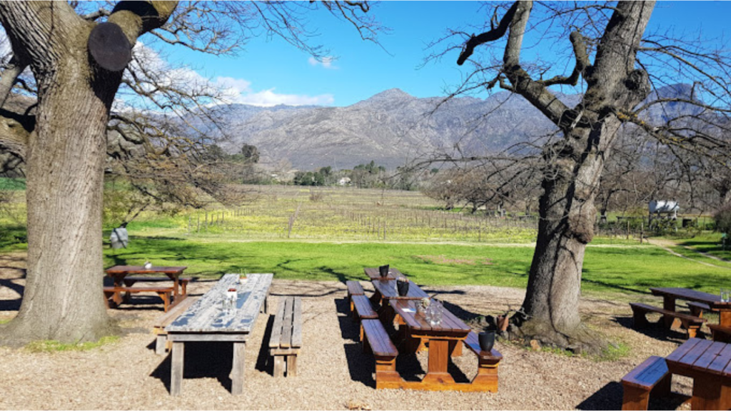 Stellenbosch, Franschhoek and Paarl: Full Day Wine Tour