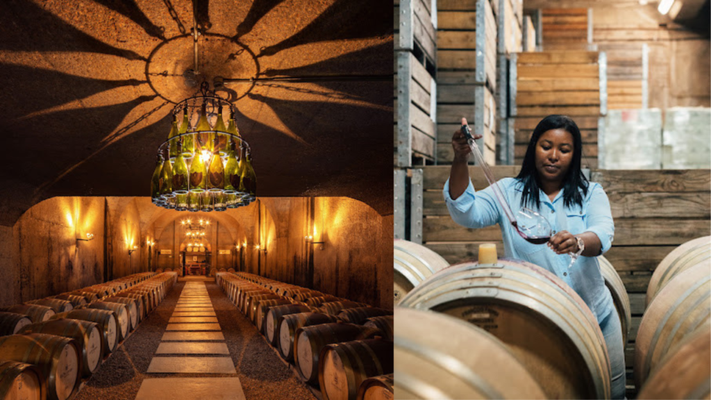 Stellenbosch, Franschhoek and Paarl: Full Day Wine Tour