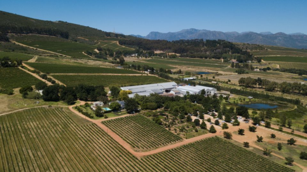 Stellenbosch: Half Day Wine Tour in Cape Town