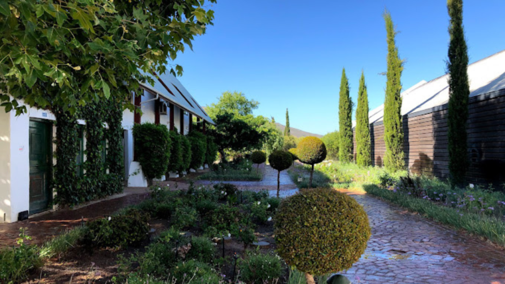 Stellenbosch: Half Day Wine Tour in Cape Town